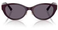 Jimmy Choo JC5064D Sunglasses