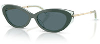Jimmy Choo JC5065U Sunglasses