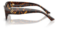 Jimmy Choo JC5063U Sunglasses