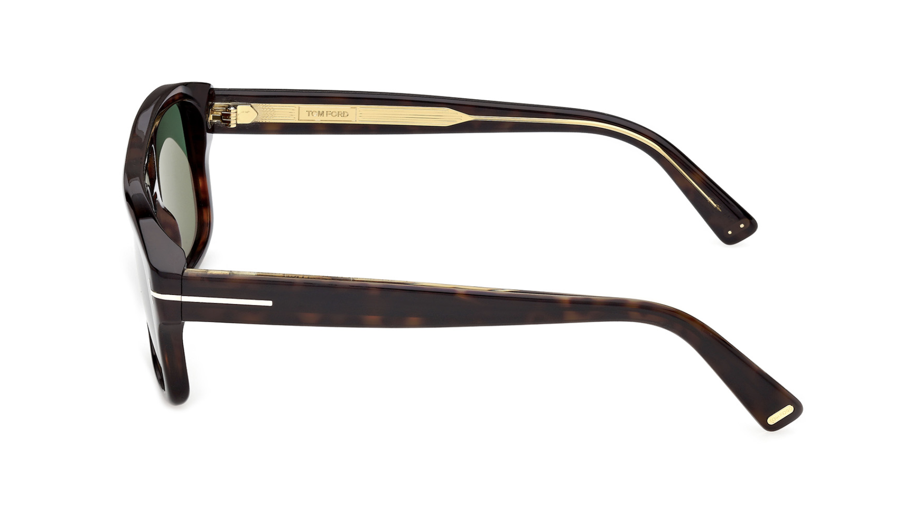 Tom Ford Icon TI0022 Sunglasses