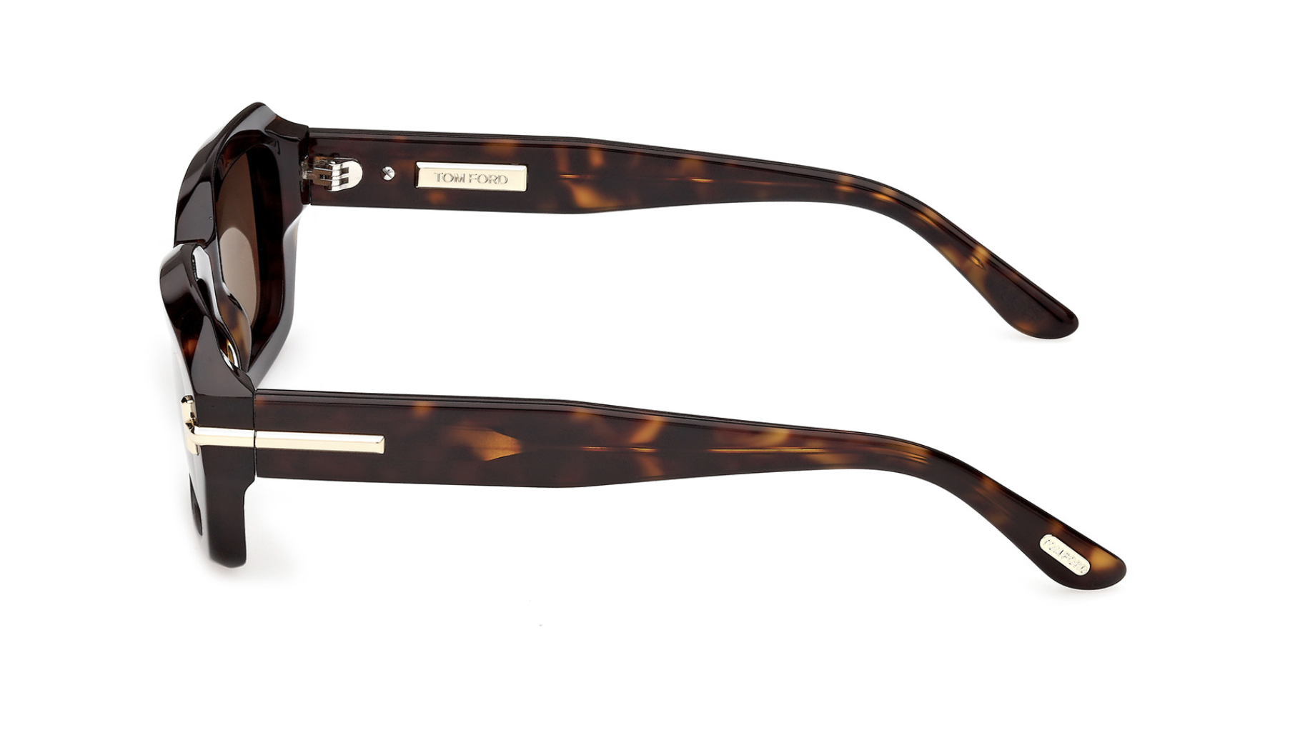 Tom Ford Icon TI0025 Sunglasses