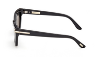 Tom Ford Icon TI0024 Sunglasses