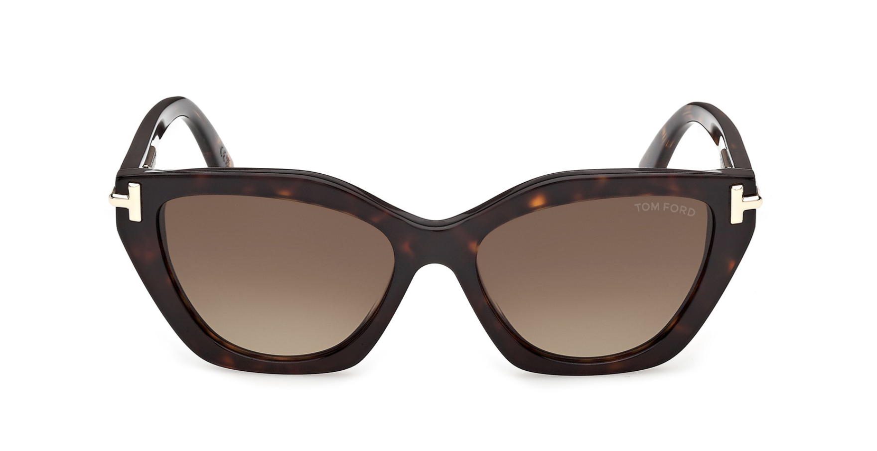 Tom Ford Icon TI0024 Sunglasses