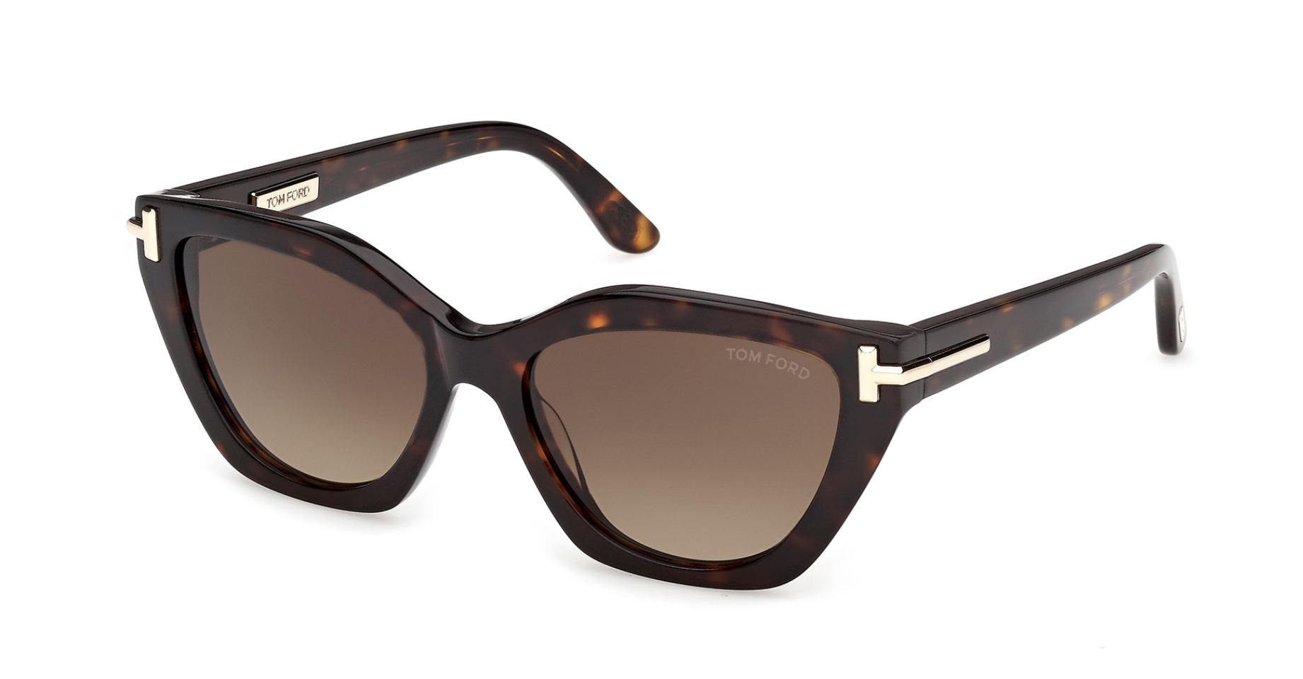 Tom Ford Icon TI0024 Sunglasses