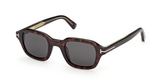 Tom Ford Icon TI0021 Sunglasses