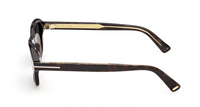 Tom Ford Icon TI0021 Sunglasses