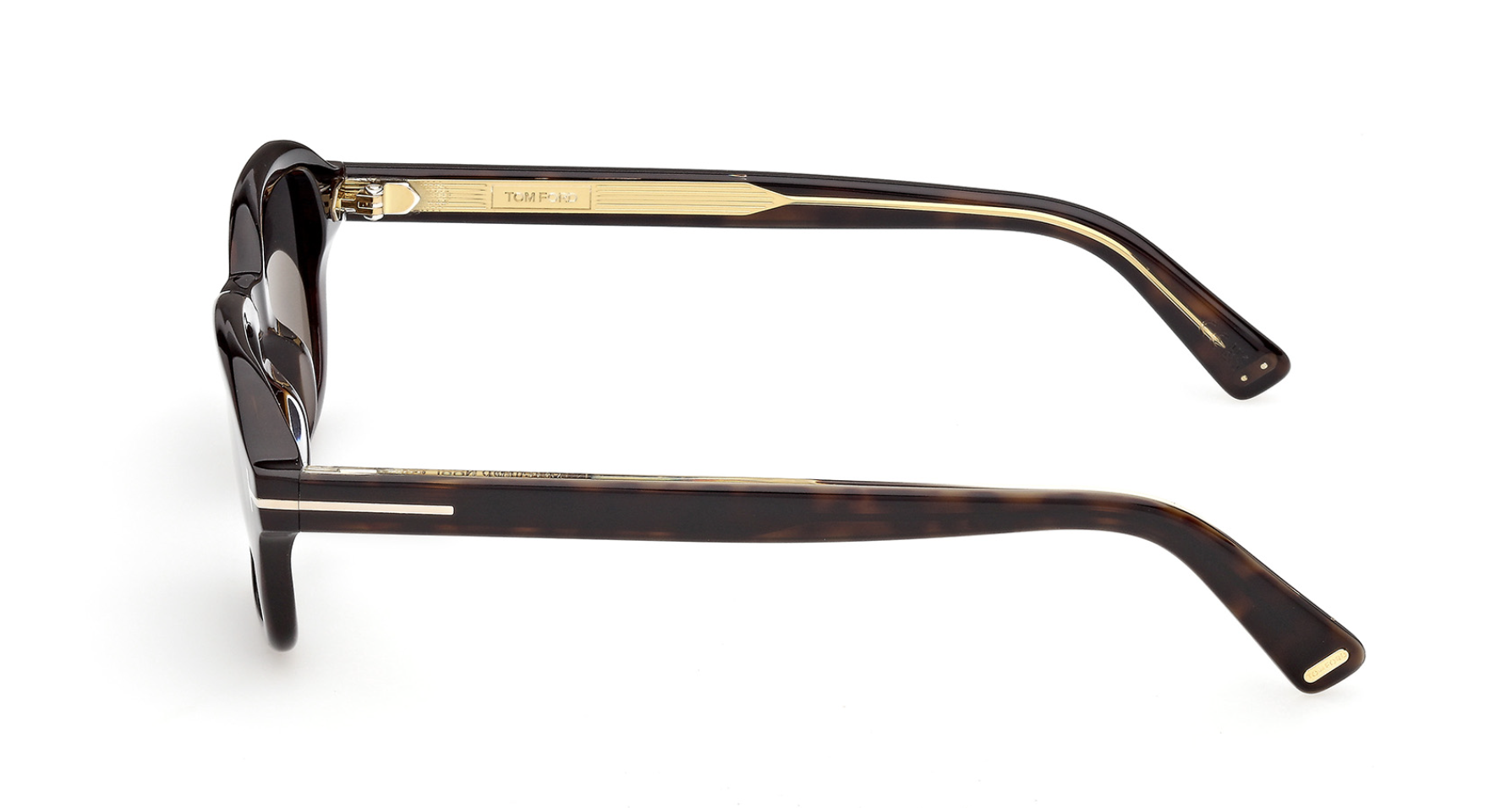 Tom Ford Icon TI0021 Sunglasses