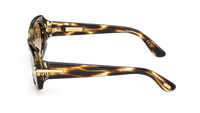 Zonnebril Tom Ford Icon FT1253