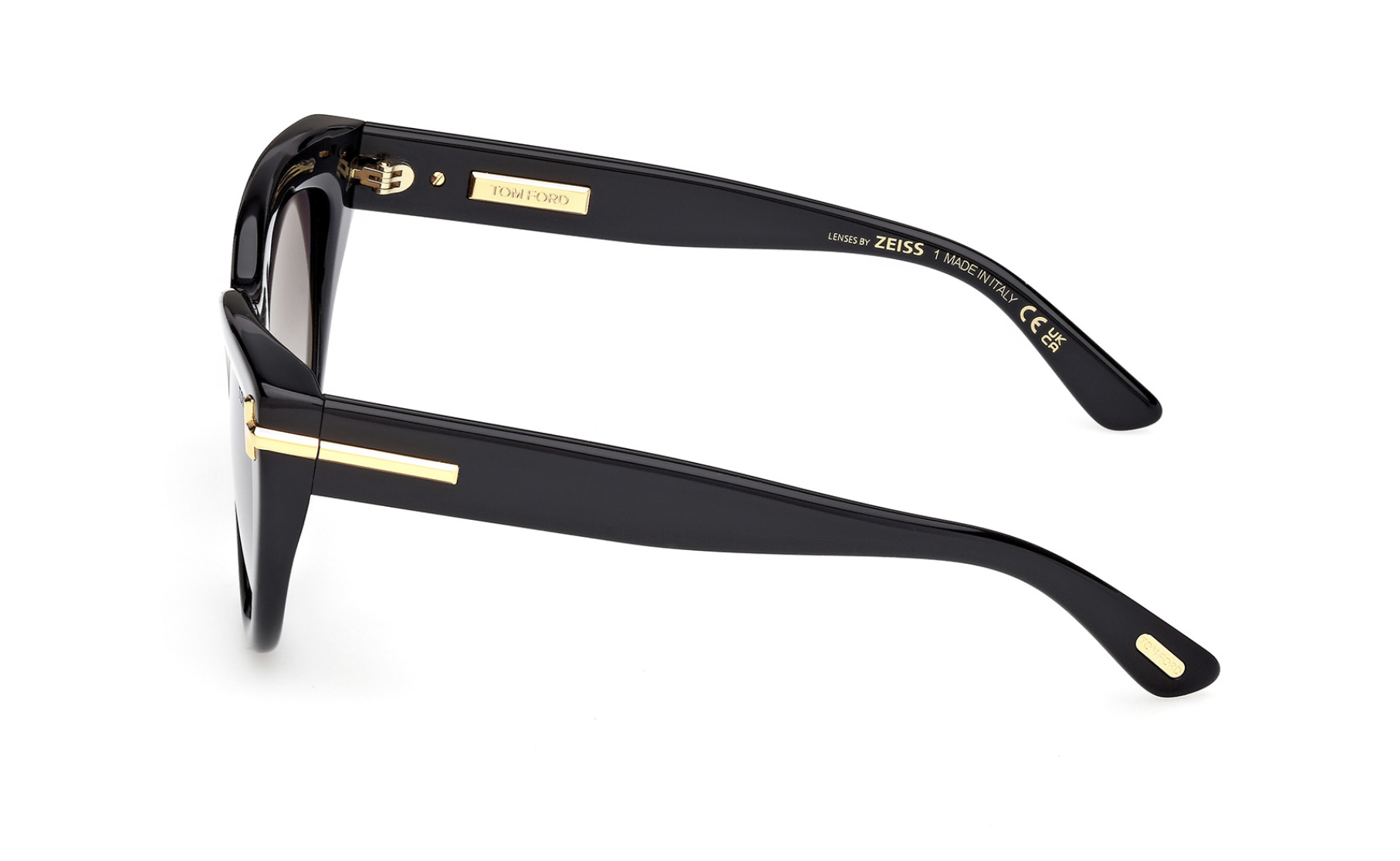 Gafas de sol Tom Ford Icon FT1252