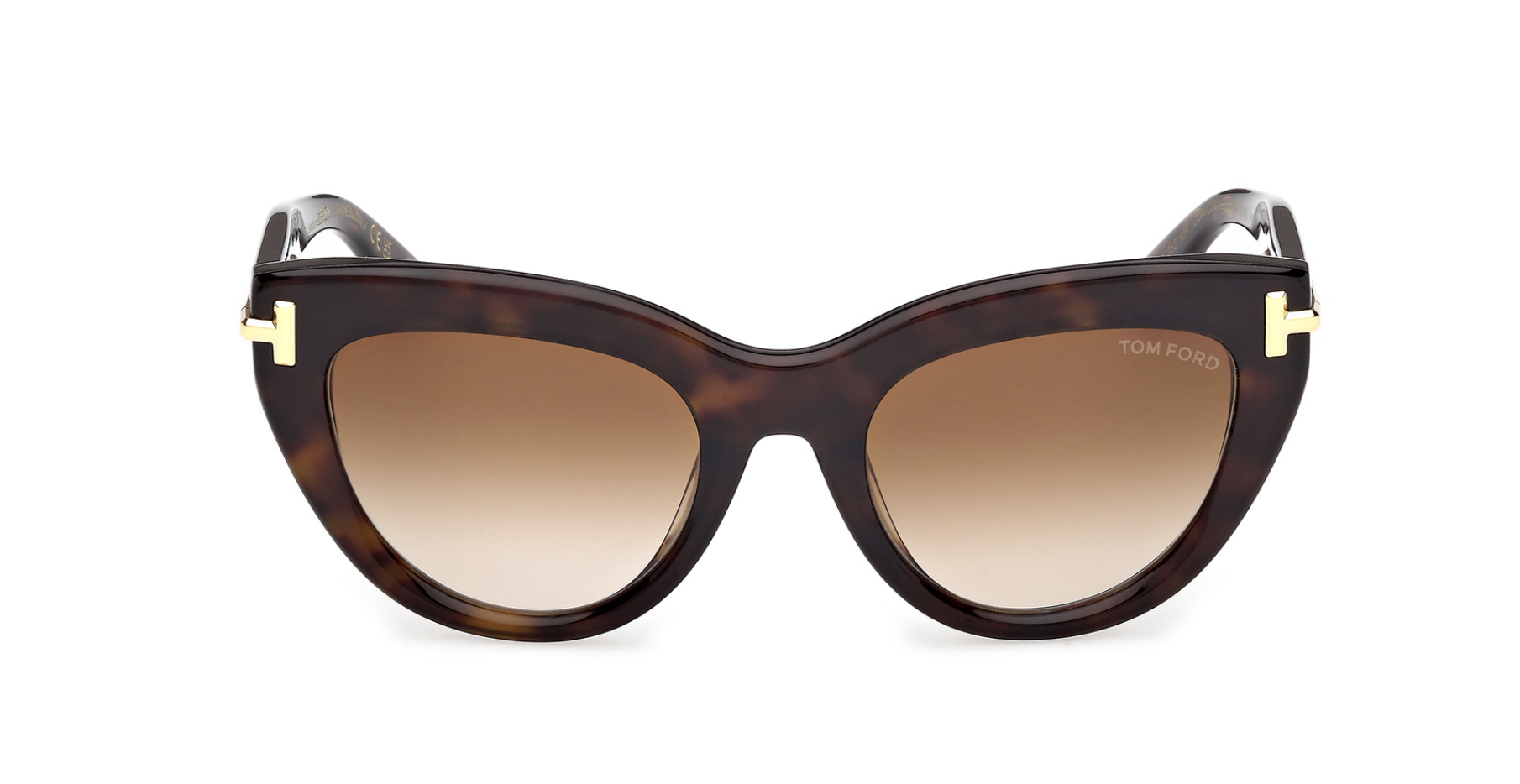 Gafas de sol Tom Ford Icon FT1252