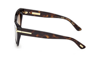 Gafas de sol Tom Ford Icon FT1252