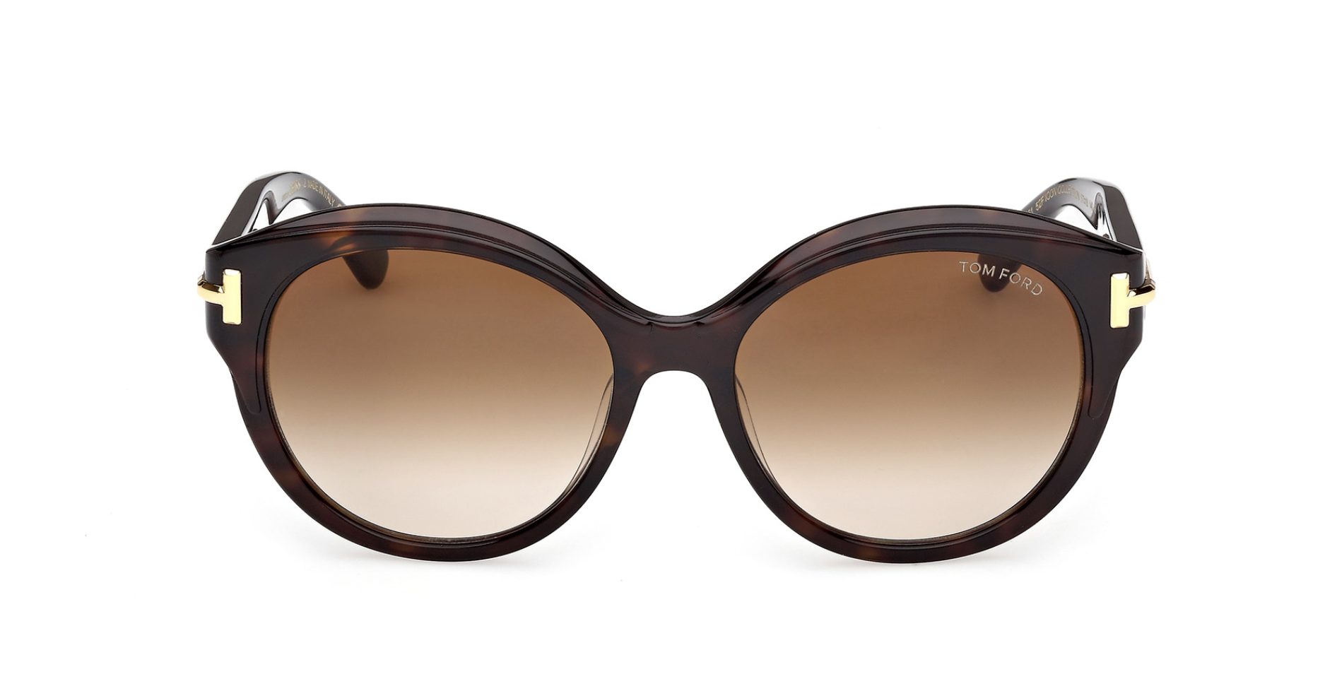 Tom Ford Icon FT1251 Sunglasses