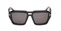Tom Ford Icon FT1202 Sunglasses