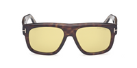 Tom Ford Icon FT1201 Sunglasses