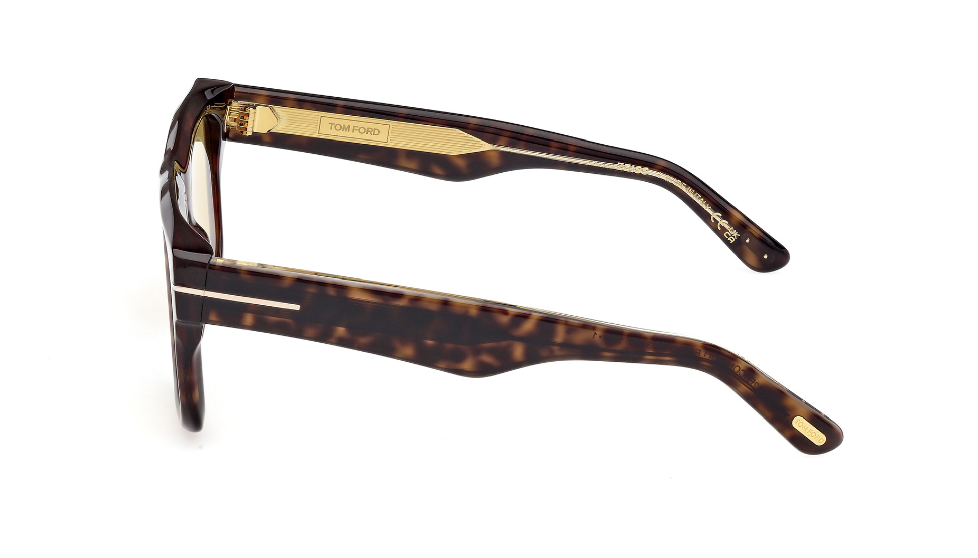 Tom Ford Icon FT1200 Sunglasses