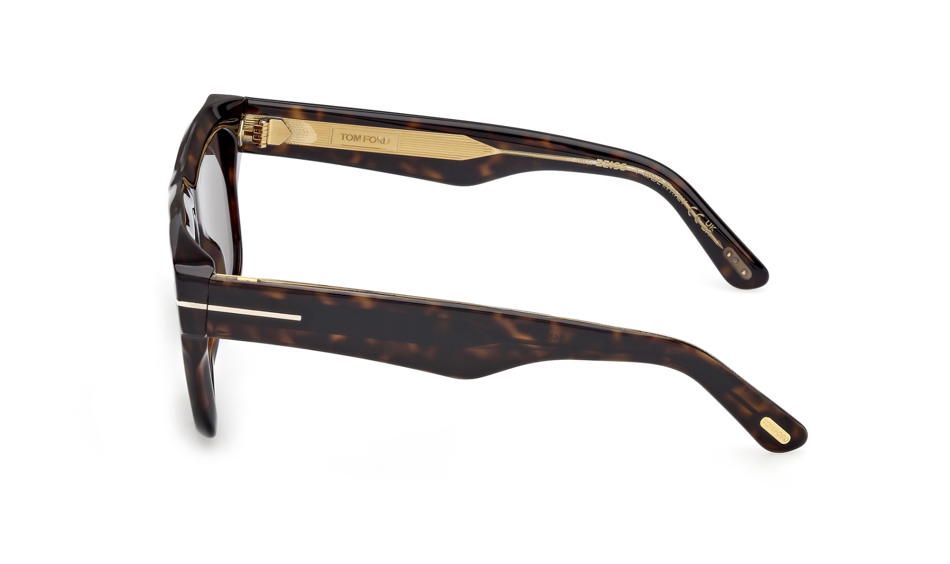 Tom Ford Icon FT1200 Sunglasses