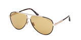 Gafas de sol Tom Ford Rupert-02 FT1340