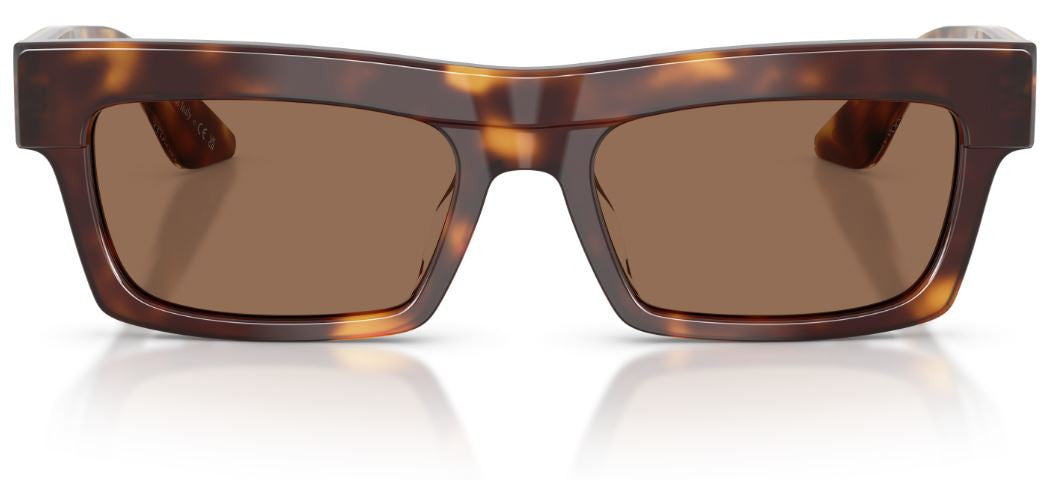 Oliver Peoples 1985c OV5607SU Sunglasses