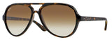 Ray-Ban Cats 5000 RB4125 Sunglasses