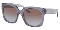 Michael Kors Destin MK2067 Sunglasses