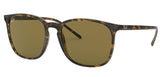 Ray-Ban RB4387 Sunglasses