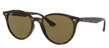 Ray-Ban RB4305 Sunglasses