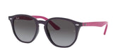 Lunettes de soleil Ray-Ban RJ9070S