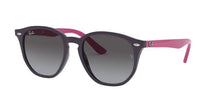 Zonnebrillen Ray-Ban RJ9070S
