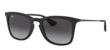 Ray-Ban RB4221 Sunglasses