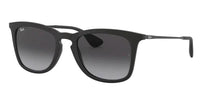 Ray-Ban RB4221 Sunglasses
