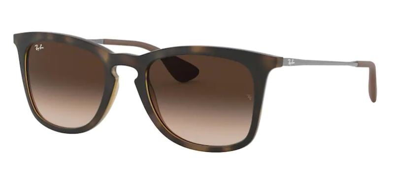 Ray-Ban RB4221 Sunglasses