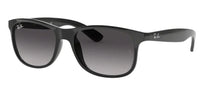 Ray-Ban RB4202 Sunglasses
