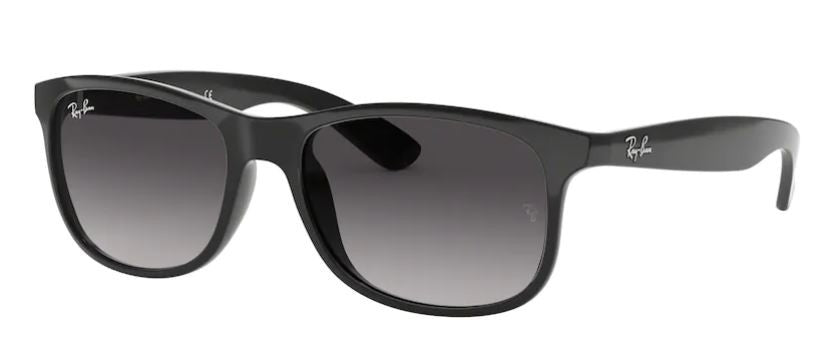 Ray-Ban RB4202 Sunglasses