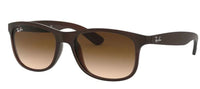 Ray-Ban RB4202 Sunglasses