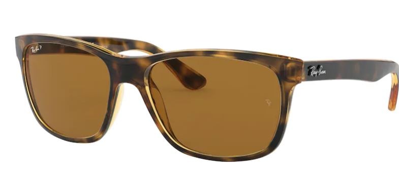 Sonnenbrille Ray-Ban RB4181