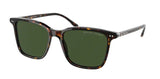 Ralph Lauren RL8199 Sunglasses