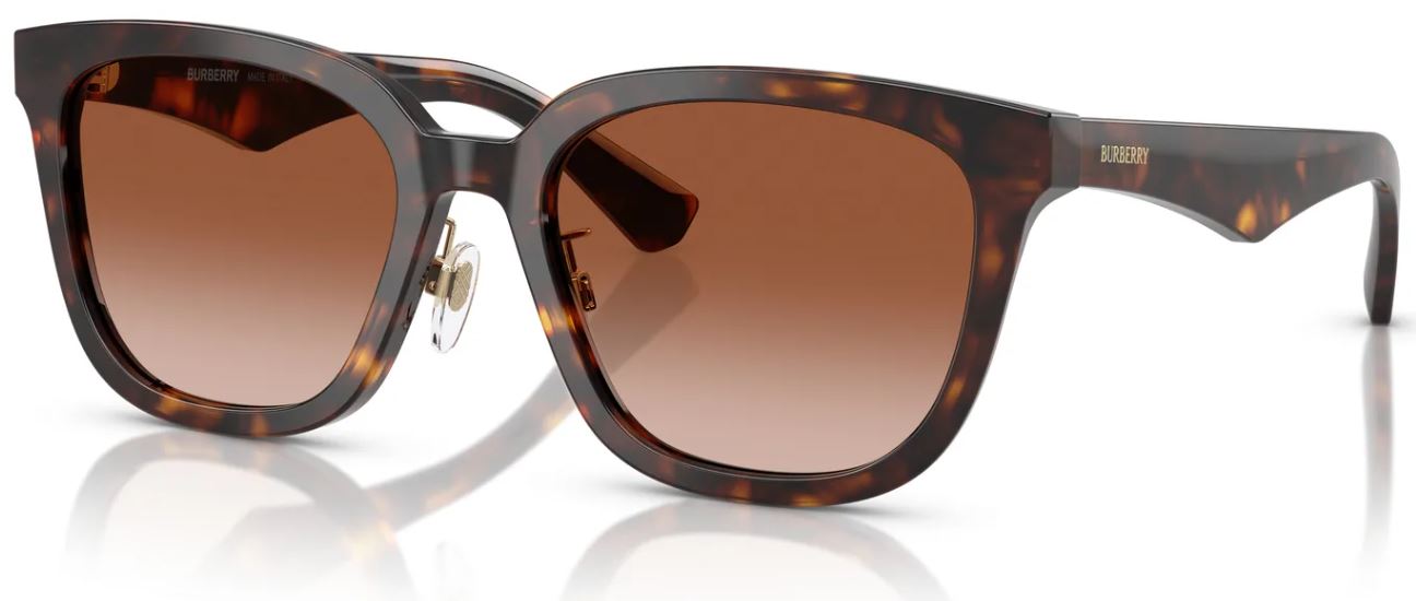 Burberry BE4446D Sonnenbrille