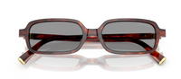 Miu Miu MU 11ZS Sunglasses