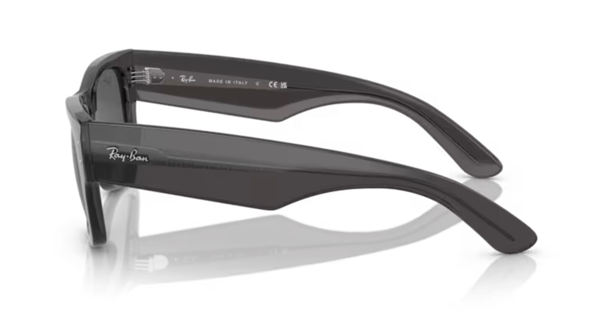 Ray-Ban Mega Wayfarer RB0840S 太陽眼鏡