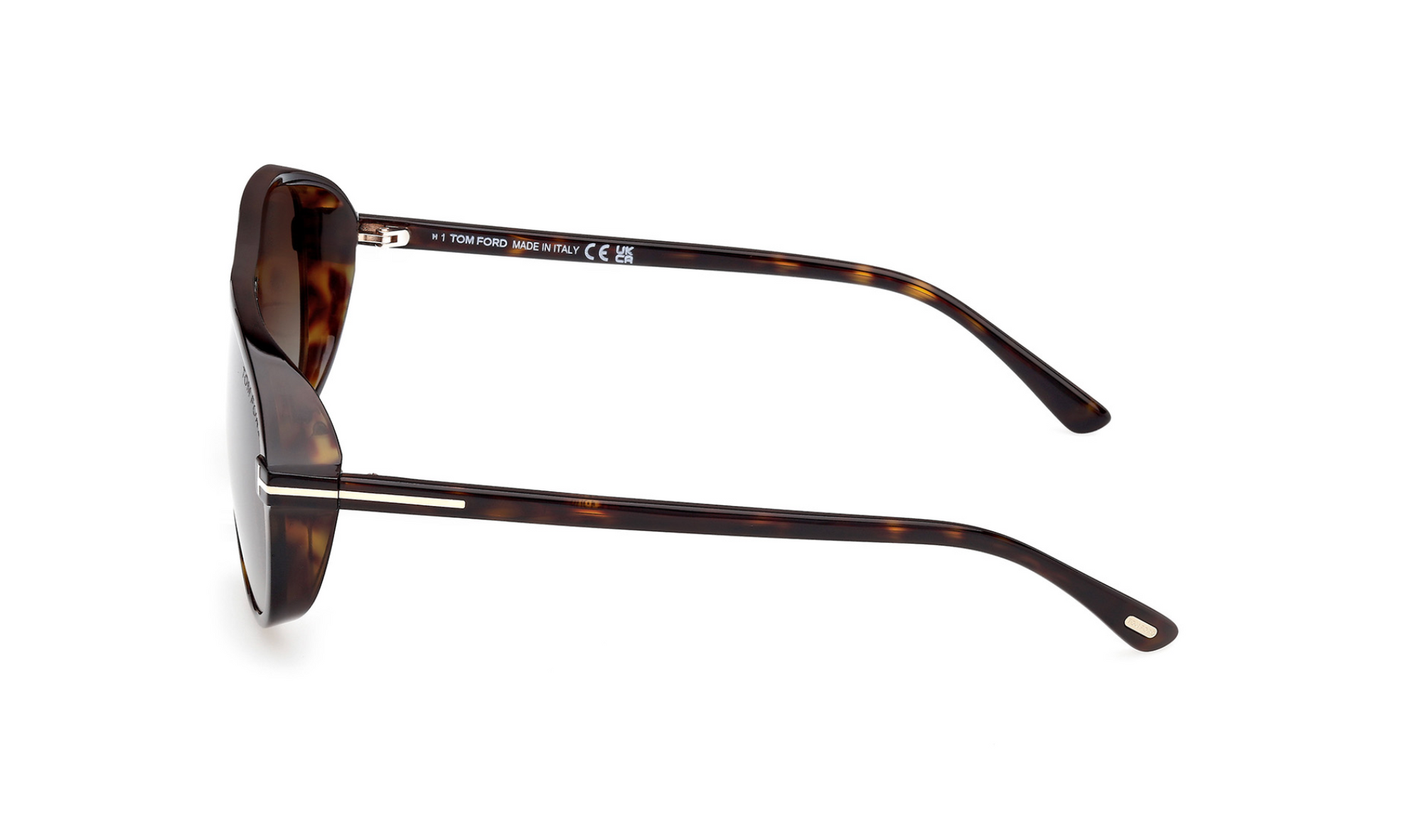 Tom Ford Guillaume FT1208 太陽眼鏡