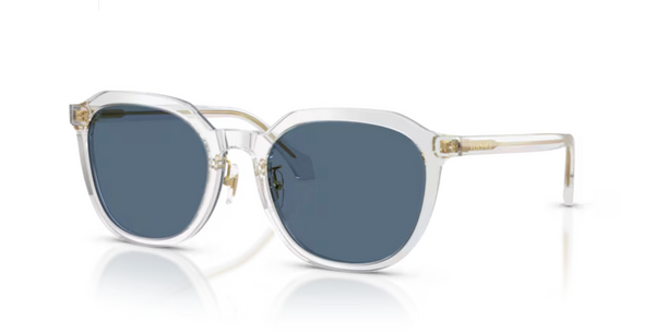 Gafas de Sol Versace VE4493D