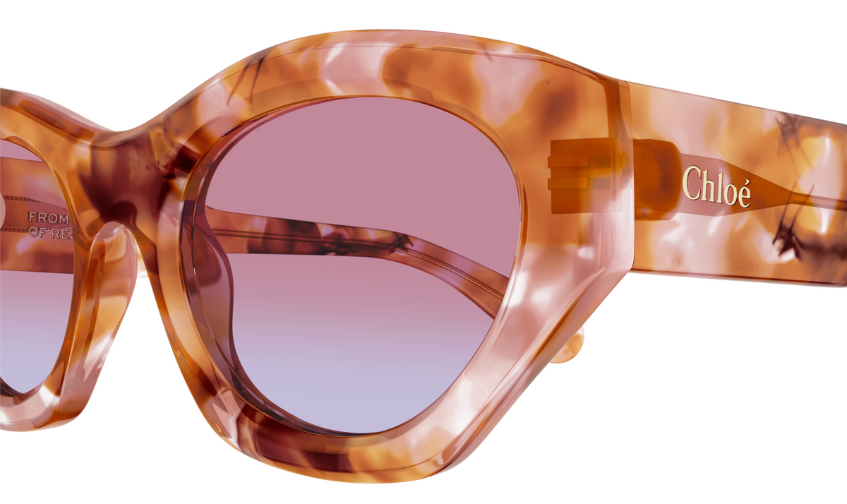 Chloé CH0220S Sonnenbrillen