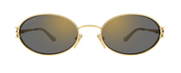 Сонцезахисні окуляри Gucci Емблема GG2233S