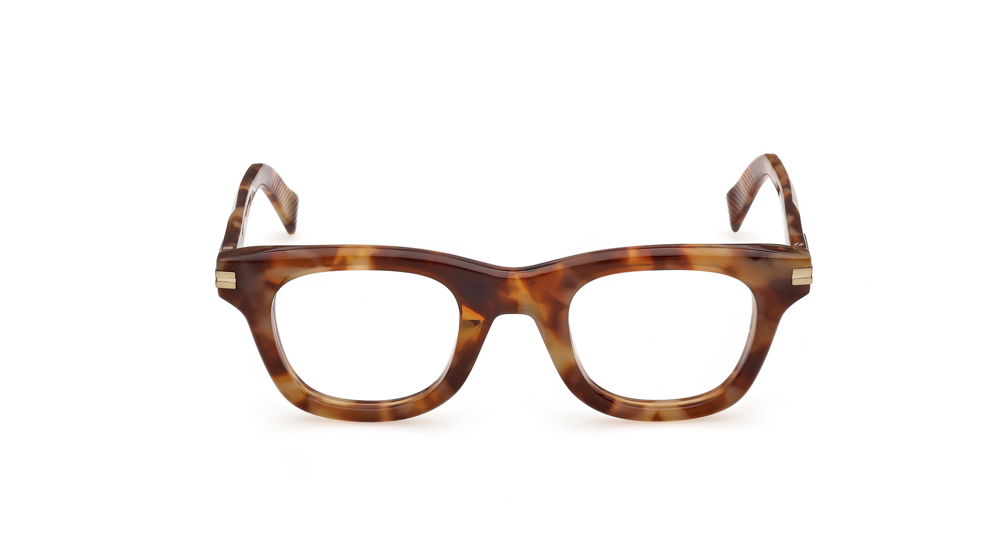 Prescription Glasses Ermenegildo Zegna EZ5374