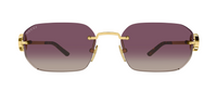 Occhiali da sole Gucci Emblem GG2228S