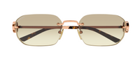 Occhiali da sole Gucci Emblem GG2228S