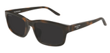 Balenciaga Everyday sunglasses BB0528SK