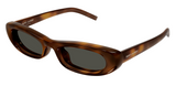 Saint Laurent SL 557 SHADE PLUMP 太陽眼鏡