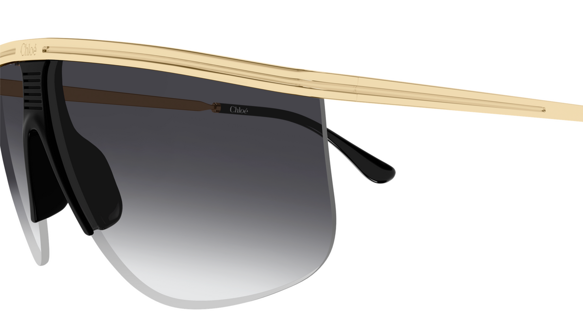 Chloé CH0415S sunglasses