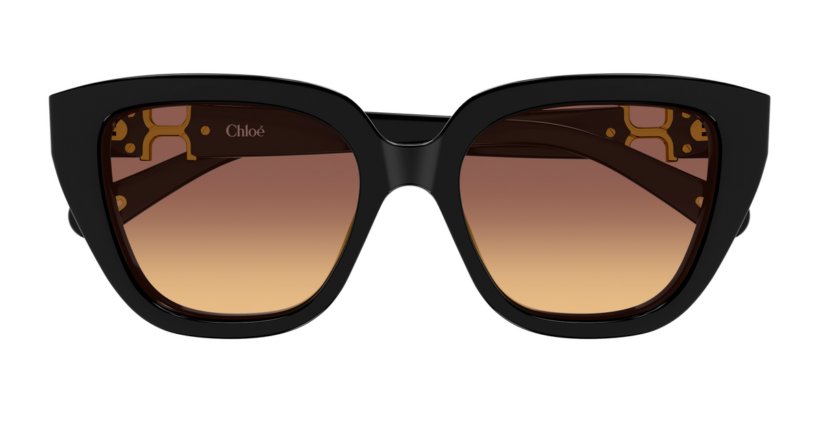 Sonnenbrille Chloé CH0410S